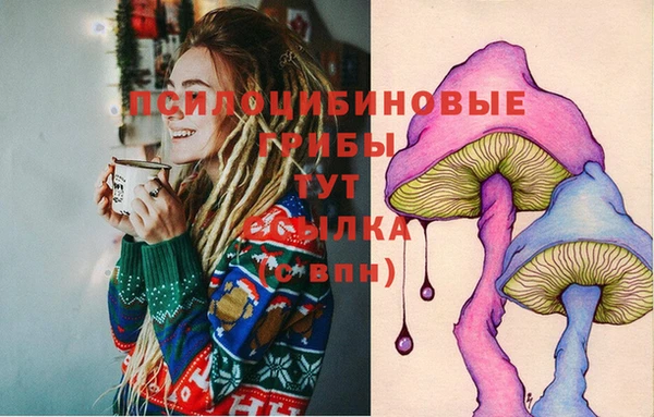 бутират Баксан
