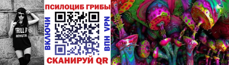 Галлюциногенные грибы Psilocybe  где купить наркоту  Ногинск 